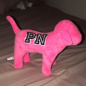 Pink nation dog